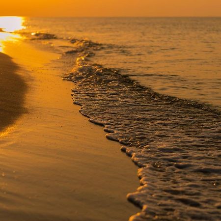 Ferienhaus Abenteuer Egmond aan Zee Dış mekan fotoğraf